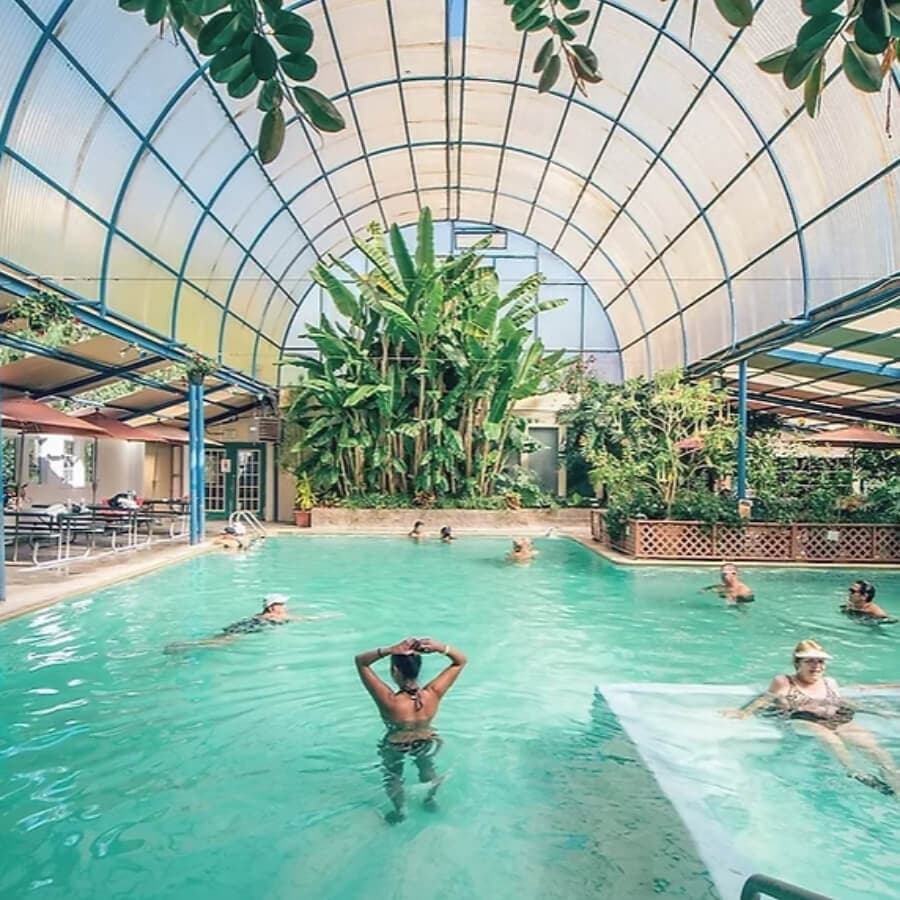Indoor swimming pool surrounded by tropical plants and people enjoying the water.